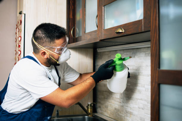 Best Pest Inspection Near Me  in Albion, NE