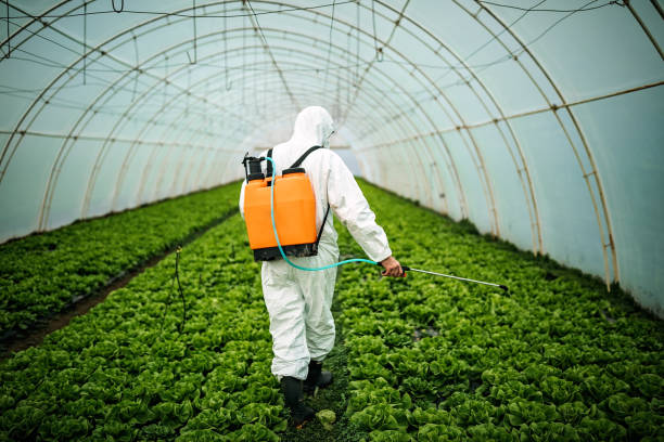 Best Mosquito Control Services  in Albion, NE
