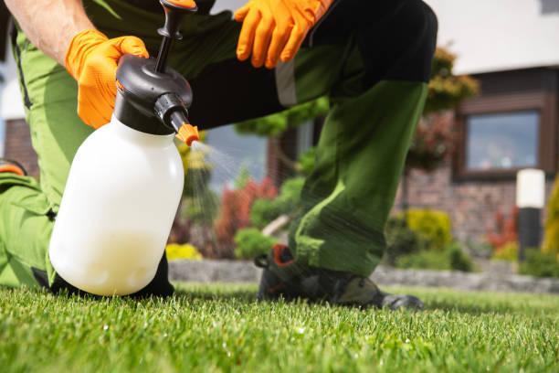 Best Best Pest Control Companies  in Albion, NE
