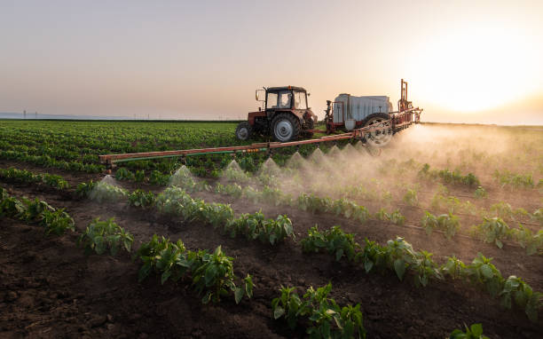 Best Pest Prevention Services  in Albion, NE