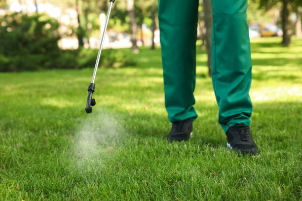 Best Wasp Removal Services  in Albion, NE