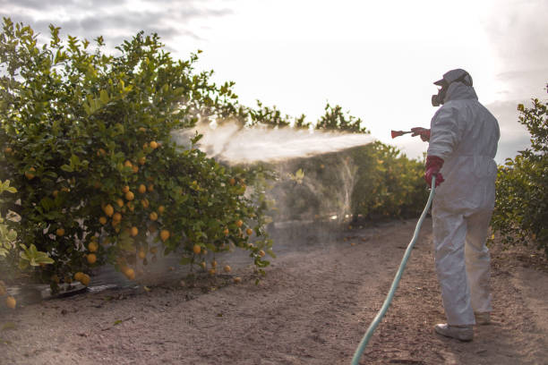 Best Best Pest Control Companies  in Albion, NE