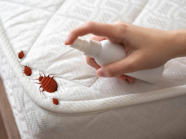 Best Ant Control Services  in Albion, NE