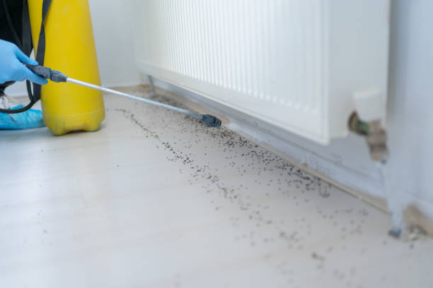 Best Bed Bug Extermination  in Albion, NE