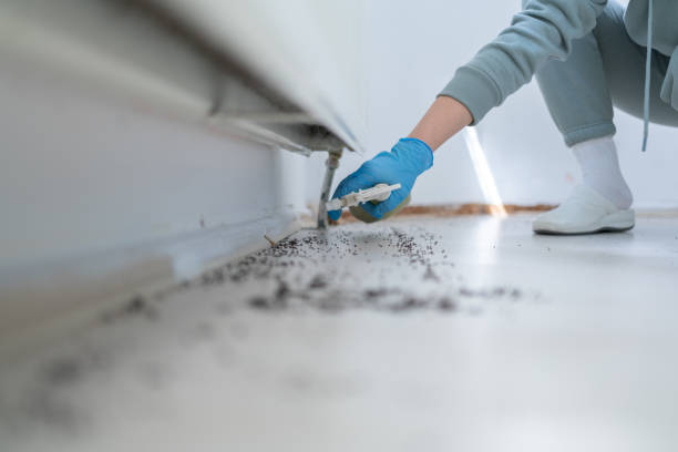 Best Pest Control Near Me  in Albion, NE